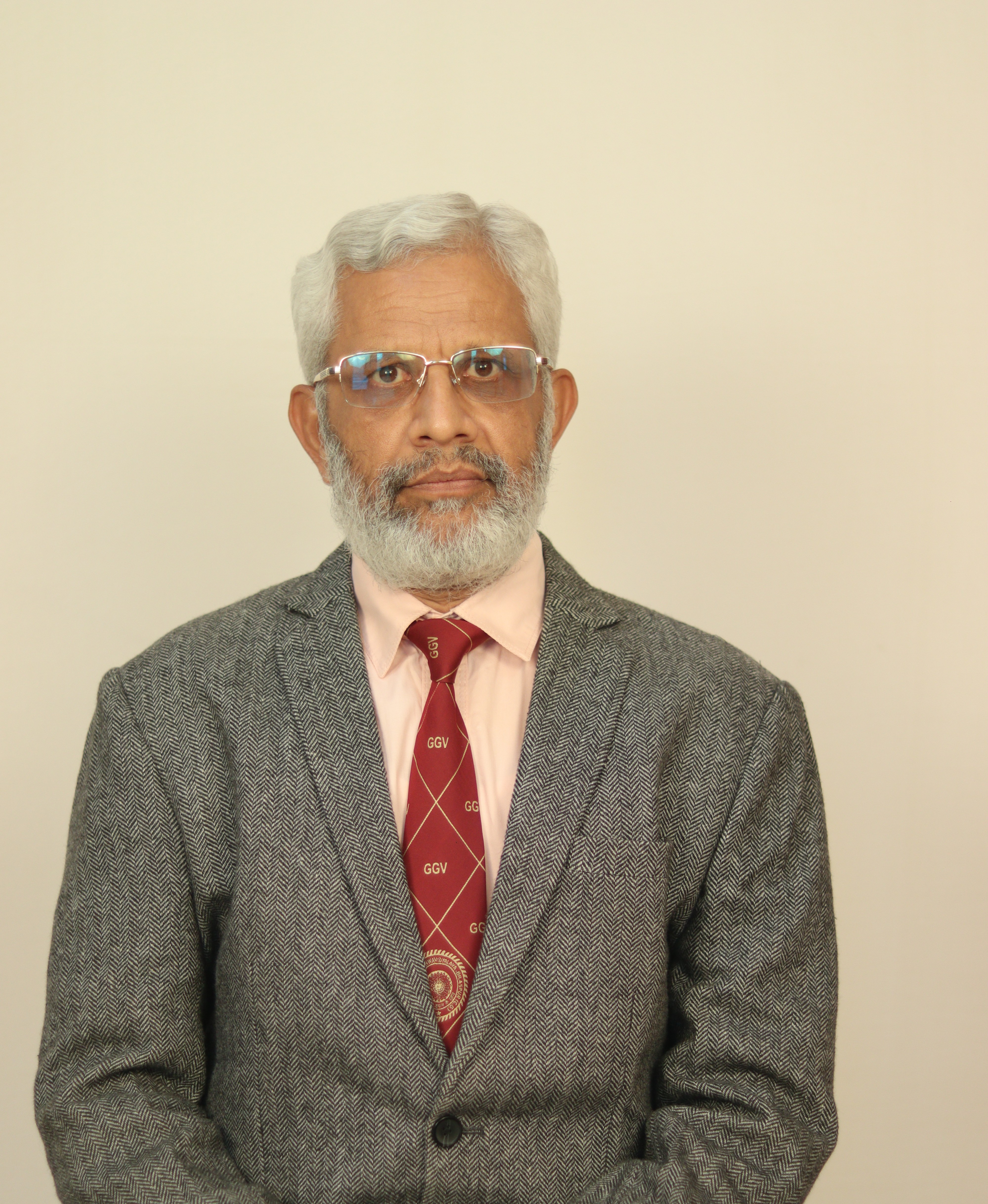 Prof. Abhay S. Ranadive